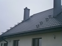 Zdjęcie: 19.jpg